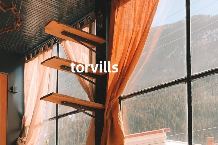 torvills单词图解，单词释义场景配图