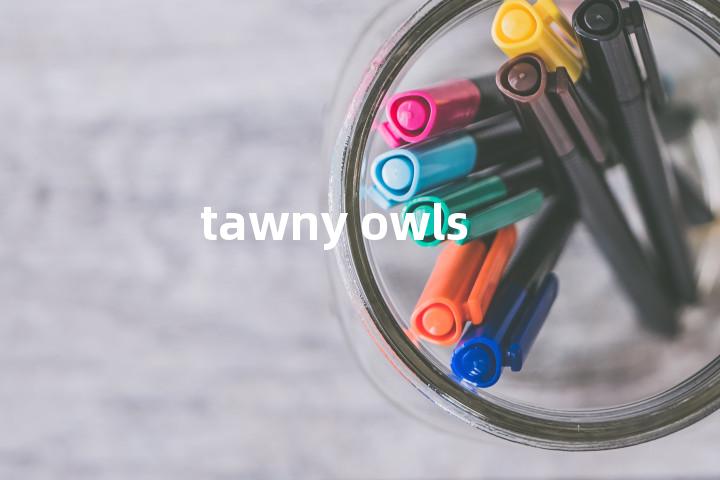 tawny owls单词图解，单词释义场景配图