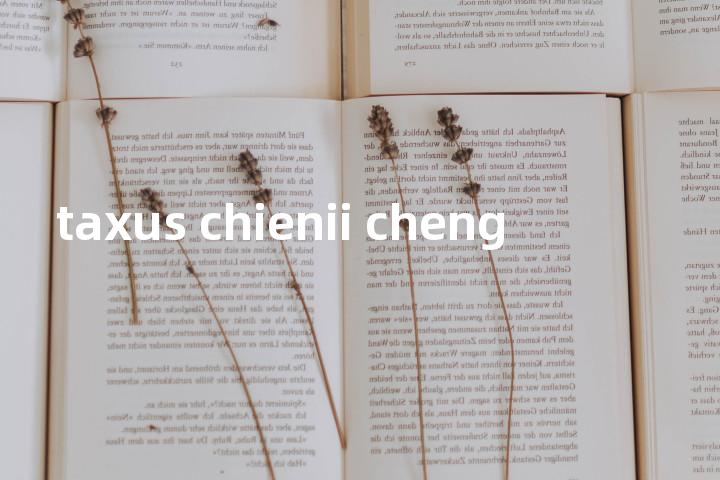 taxus chienii cheng单词图解，单词释义场景配图
