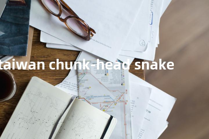 taiwan chunk-head snake单词图解，单词释义场景配图