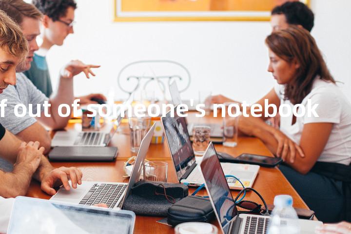 take a leaf out of someone's notebook单词图解，单词释义场景配图