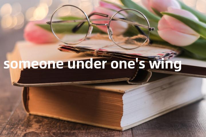 take someone under one's wing单词图解，单词释义场景配图