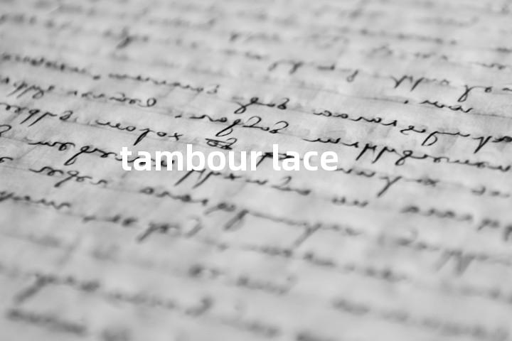 tambour lace单词图解，单词释义场景配图
