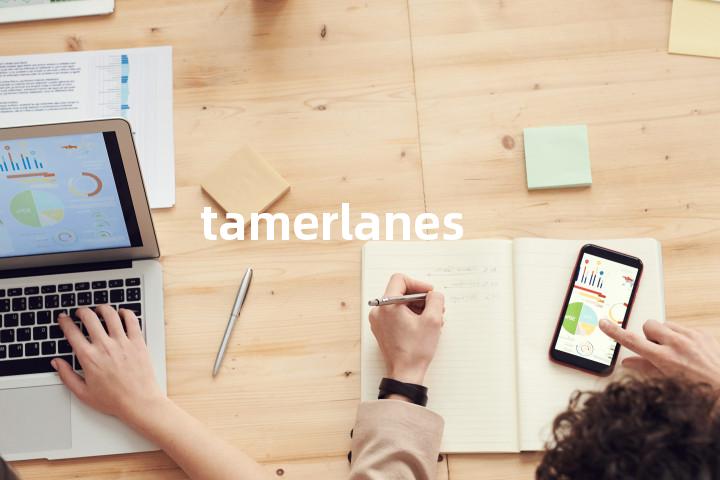 tamerlanes单词图解，单词释义场景配图