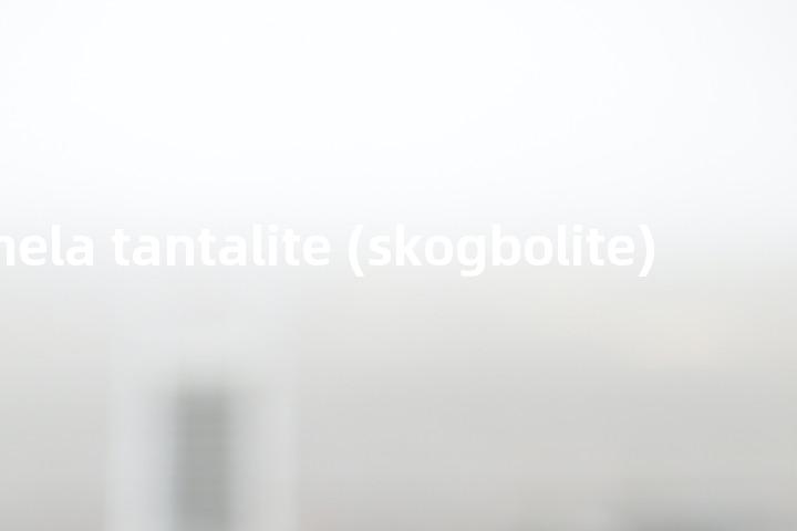 tammela tantalite (skogbolite)单词图解，单词释义场景配图