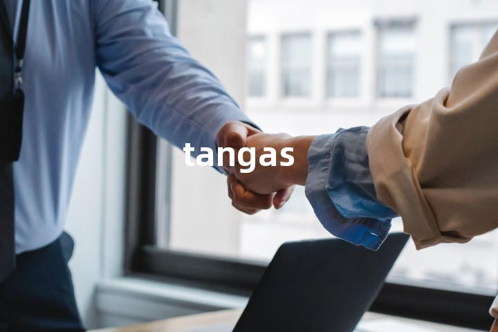tangas单词图解，单词释义场景配图
