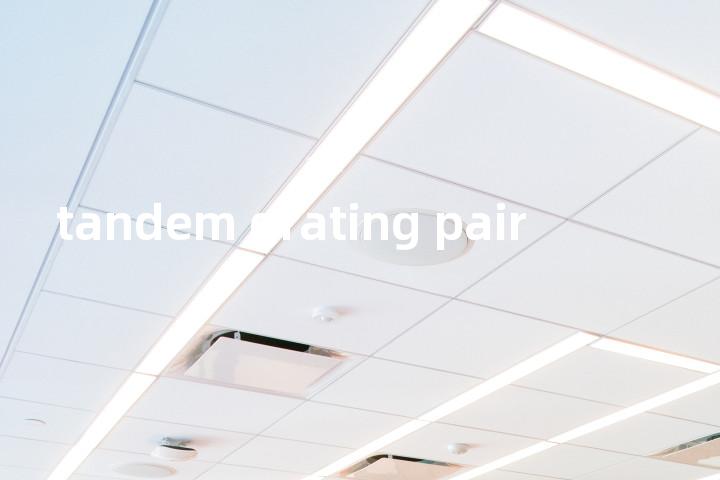 tandem grating pair单词图解，单词释义场景配图