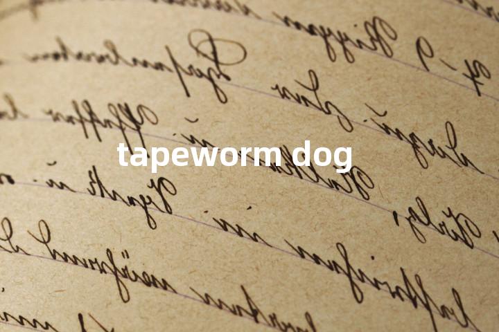 tapeworm dog单词图解，单词释义场景配图