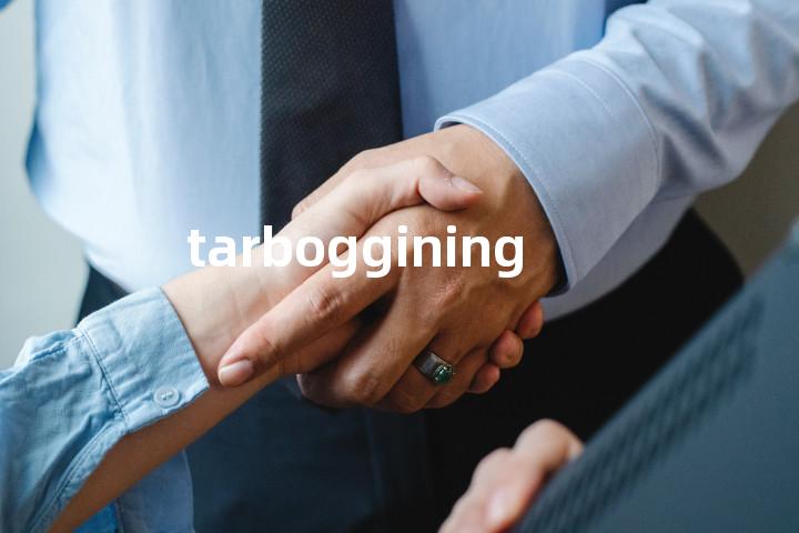 tarboggining单词图解，单词释义场景配图