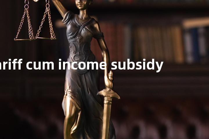 tariff cum income subsidy单词图解，单词释义场景配图
