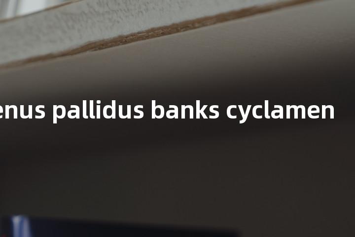 tarsomenus pallidus banks cyclamen单词图解，单词释义场景配图