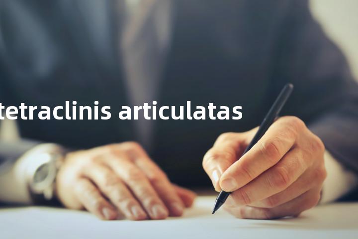 tetraclinis articulatas单词图解，单词释义场景配图