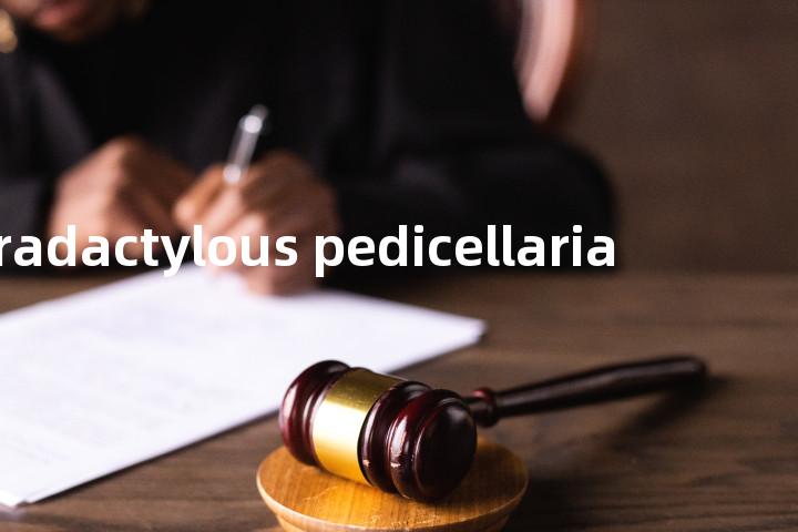 tetradactylous pedicellaria单词图解，单词释义场景配图