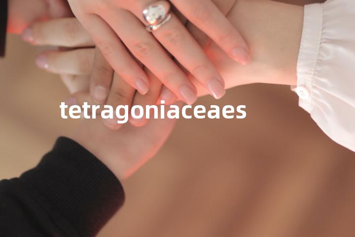 tetragoniaceaes单词图解，单词释义场景配图