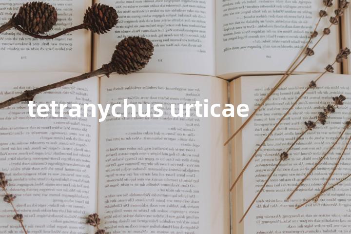 tetranychus urticae单词图解，单词释义场景配图
