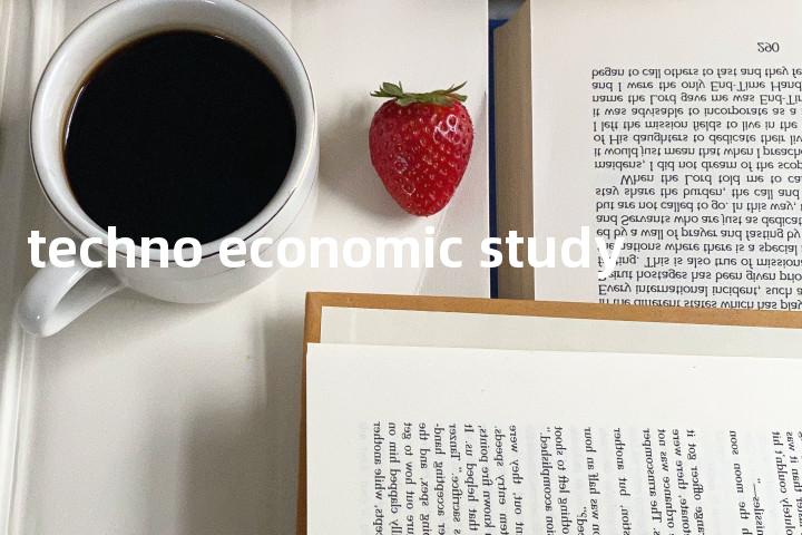 techno economic study单词图解，单词释义场景配图