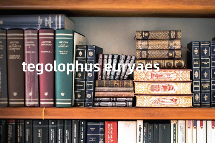 tegolophus euryaes单词图解，单词释义场景配图