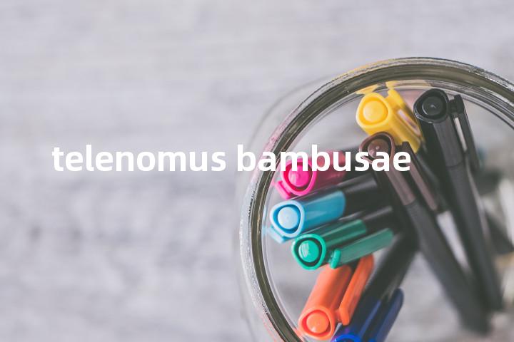 telenomus bambusae单词图解，单词释义场景配图