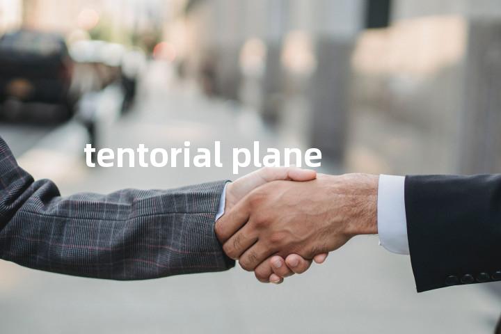 tentorial plane单词图解，单词释义场景配图