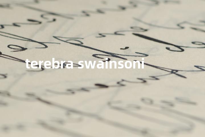 terebra swainsoni单词图解，单词释义场景配图