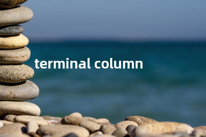 terminal column单词图解，单词释义场景配图