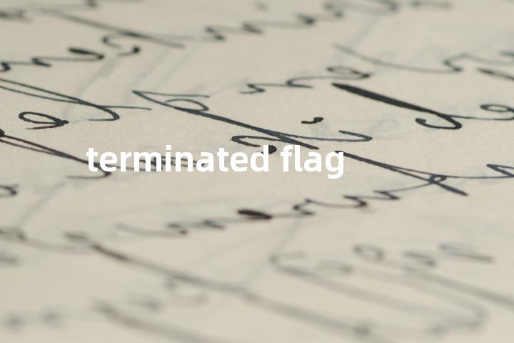 terminated flag单词图解，单词释义场景配图
