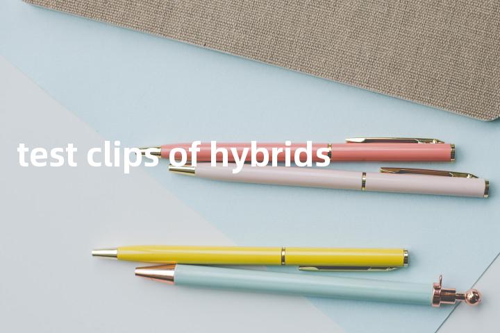 test clips of hybrids单词图解，单词释义场景配图