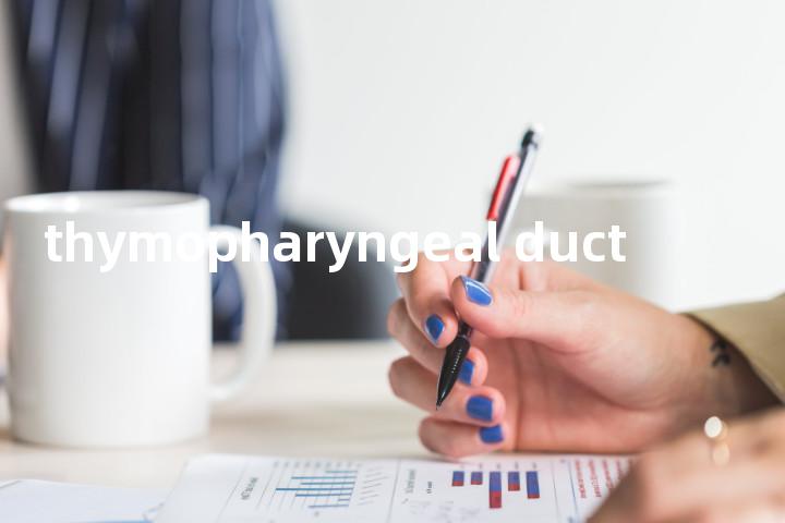 thymopharyngeal duct单词图解，单词释义场景配图