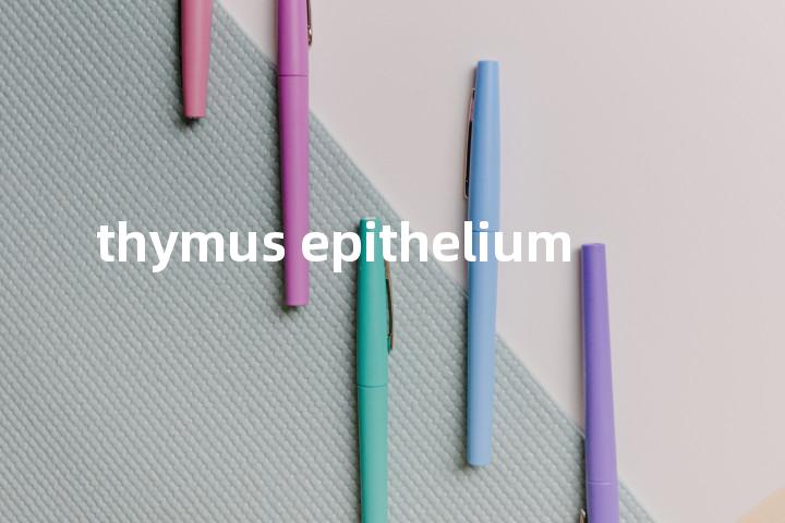 thymus epithelium单词图解，单词释义场景配图