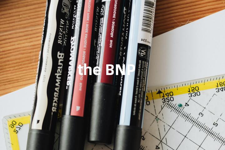 the BNP单词图解，单词释义场景配图