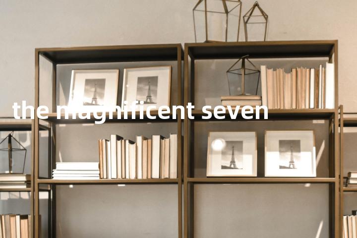the magnificent seven单词图解，单词释义场景配图