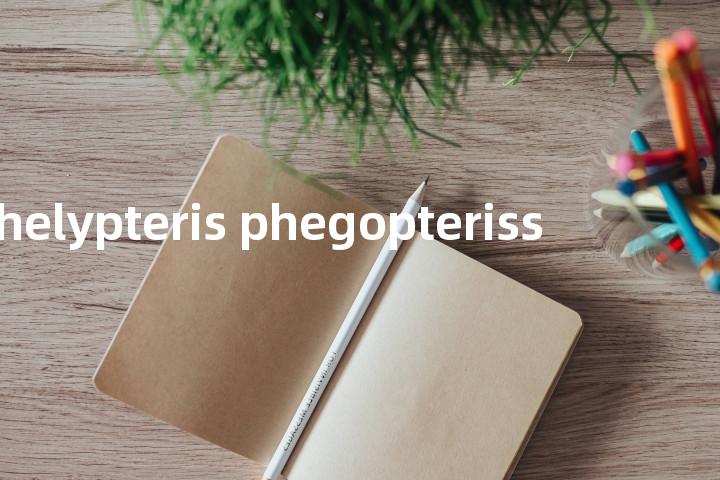 thelypteris phegopteriss单词图解，单词释义场景配图
