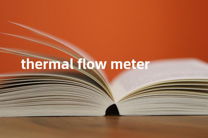 thermal flow meter单词图解，单词释义场景配图