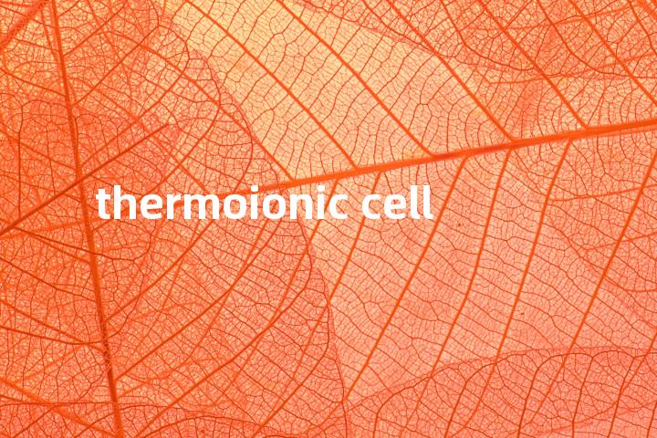 thermoionic cell单词图解，单词释义场景配图