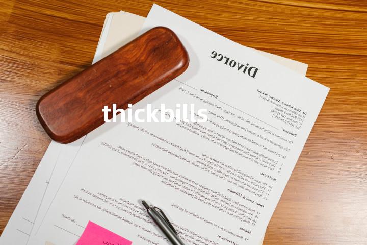 thickbills单词图解，单词释义场景配图