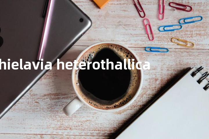 thielavia heterothallica单词图解，单词释义场景配图