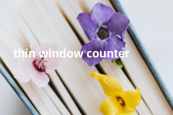 thin window counter单词图解，单词释义场景配图