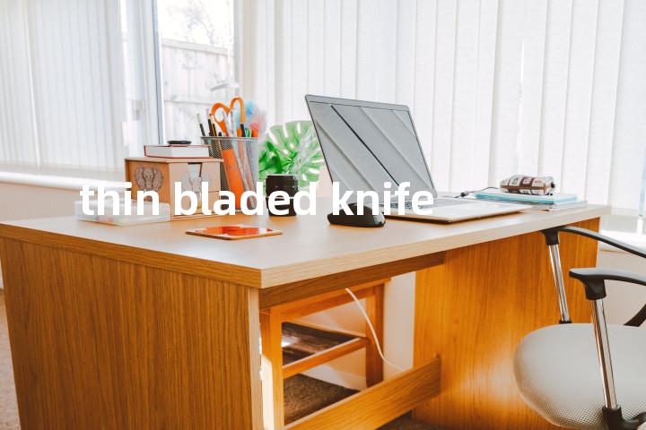 thin bladed knife单词图解，单词释义场景配图