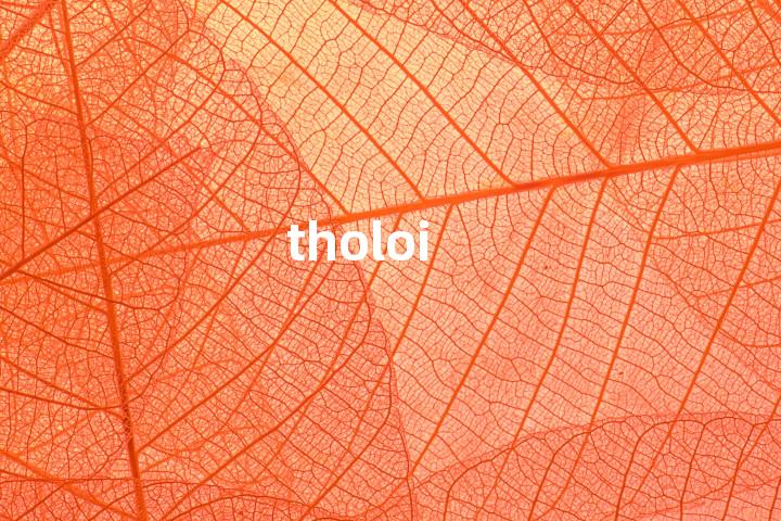 tholoi单词图解，单词释义场景配图