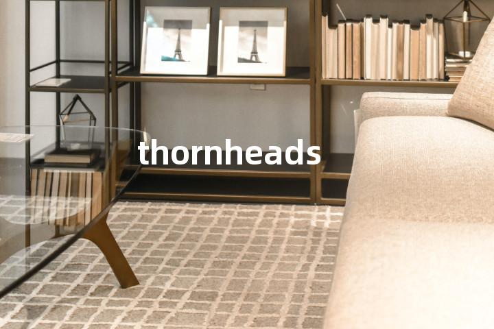 thornheads单词图解，单词释义场景配图