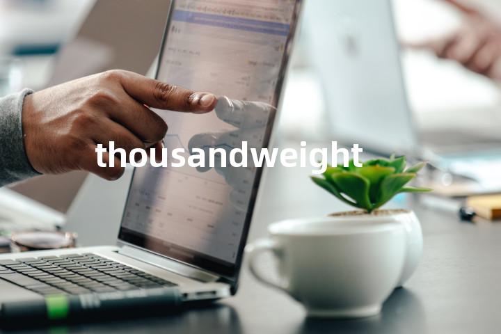 thousandweight单词图解，单词释义场景配图