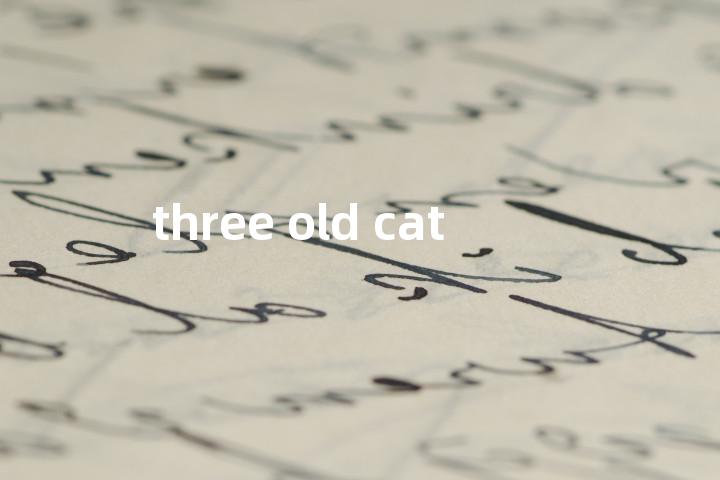 three old cat单词图解，单词释义场景配图
