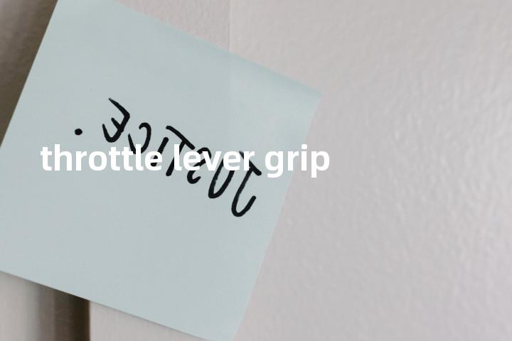throttle lever grip单词图解，单词释义场景配图