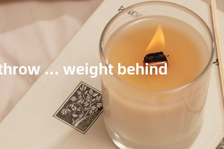 throw ... weight behind单词图解，单词释义场景配图