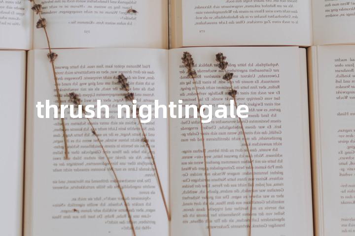 thrush nightingale单词图解，单词释义场景配图