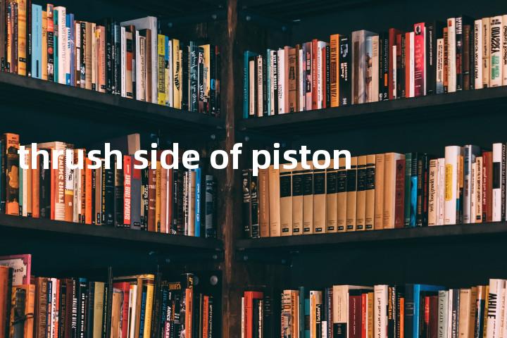thrush side of piston单词图解，单词释义场景配图