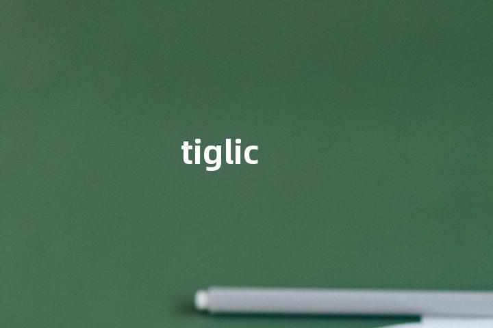 tiglic单词图解，单词释义场景配图