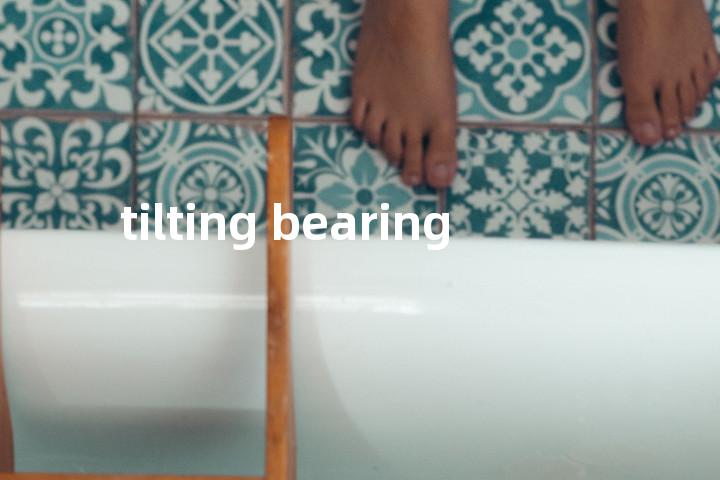 tilting bearing单词图解，单词释义场景配图