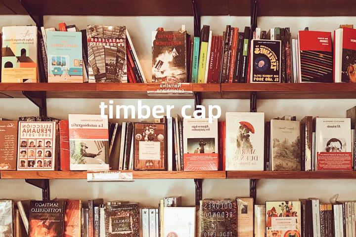 timber cap单词图解，单词释义场景配图