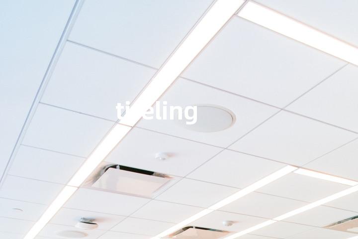 tireling单词图解，单词释义场景配图